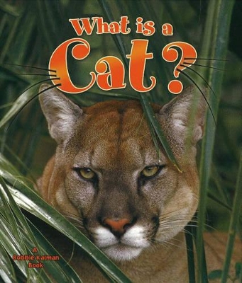 What is a Cat book