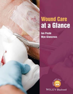 Wound Care at a Glance by Ian Peate