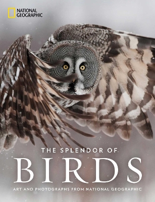 The Splendor of Birds: Art and Photography From National Geographic book
