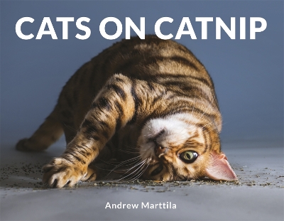 Cats on Catnip book