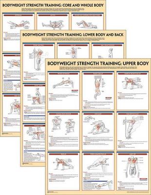 Bodyweight Strength Training Anatomy Poster Series book
