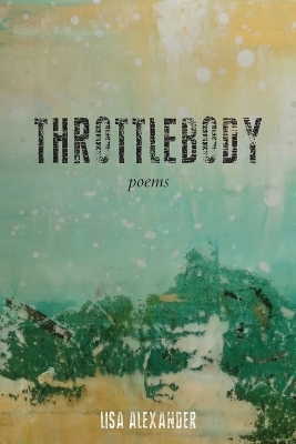 Throttlebody book