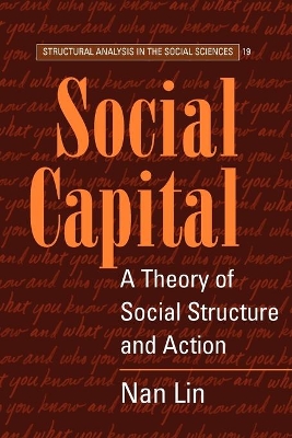 Social Capital by Nan Lin