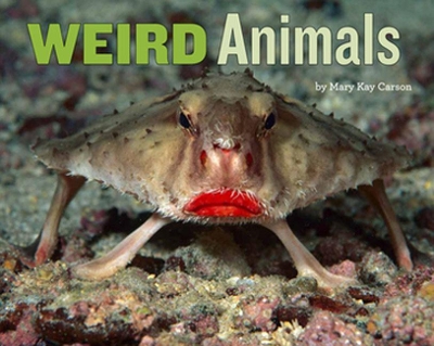 Weird Animals book