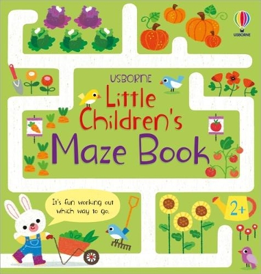 Little Children's Maze Book book