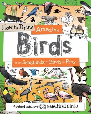 How to Draw Amazing Birds by Fiona Gowen