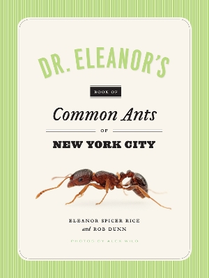 Dr. Eleanor's Book of Common Ants of New York City by Eleanor Spicer Rice