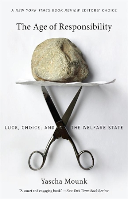 The Age of Responsibility: Luck, Choice, and the Welfare State book
