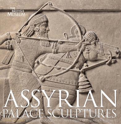 Assyrian Palace Sculptures book