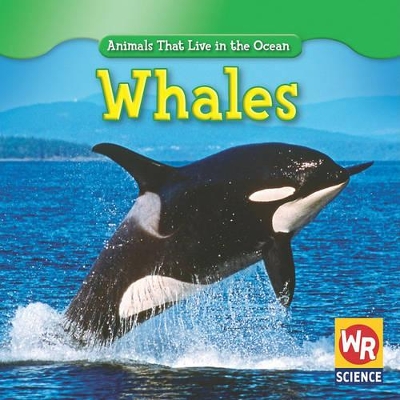 Whales book