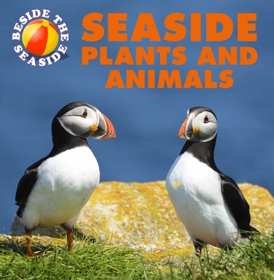 Beside the Seaside: Seaside Plants and Animals by Clare Hibbert