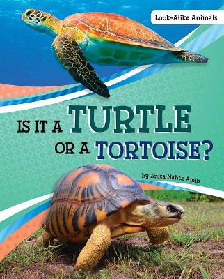 Is it a Turtle or a Tortoise book