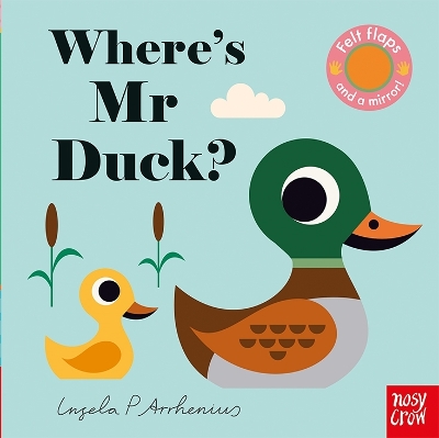 Where's Mr Duck? book