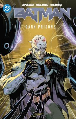 Batman Vol. 4: Dark Prisons by Chip Zdarksy