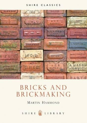 Bricks and Brickmaking book
