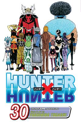 Hunter x Hunter, Vol. 30 book