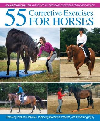 55 Corrective Exercises for Horses by Aristotle