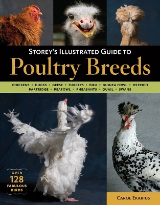 Storey's Illustrated Guide to Poultry Breeds by Carol Ekarius