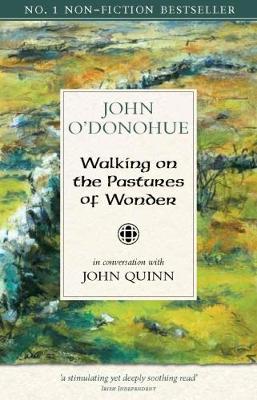 Walking on the Pastures of Wonder: In Conversation with John Quinn book