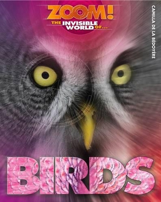 Zoom! The Invisible World of Birds book