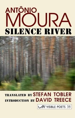 Silence River book