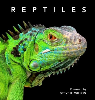 Reptiles: Deluxe Series book