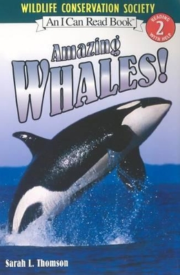 Amazing Whales! book