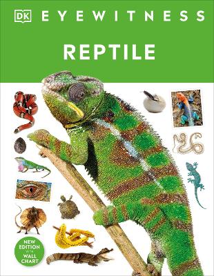 Reptile by DK