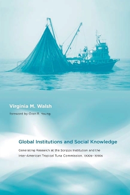 Global Institutions and Social Knowledge by Virginia M. Walsh