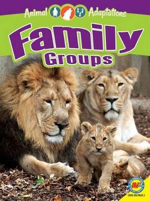 Family Groups book
