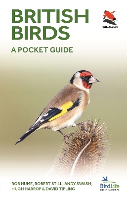 British and Irish Birds: A Pocket Guide book