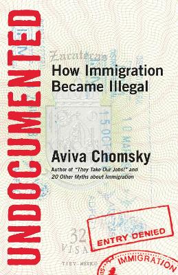 Undocumented book