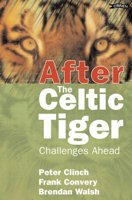 After the Celtic Tiger book