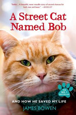 A Street Cat Named Bob and How He Saved My Life book