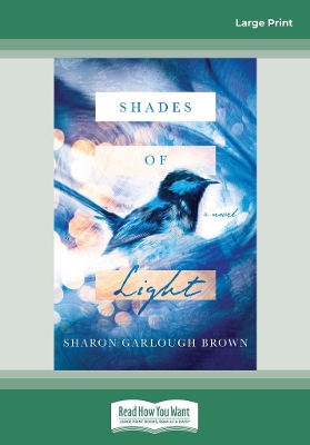 Shades of Light: A Novel book