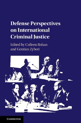 Defense Perspectives on International Criminal Justice by Colleen Rohan