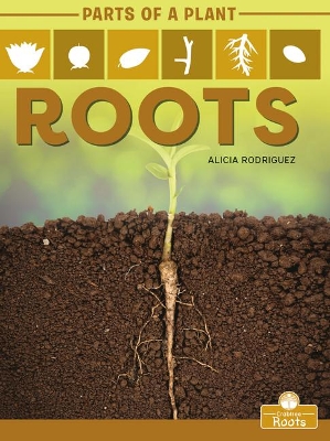 Roots by Alicia Rodriguez