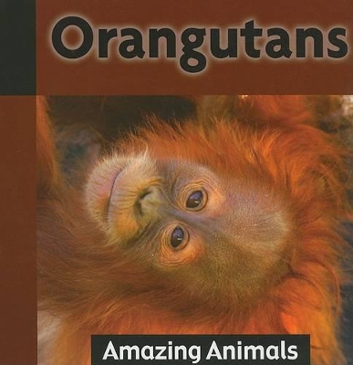 Orangutans book