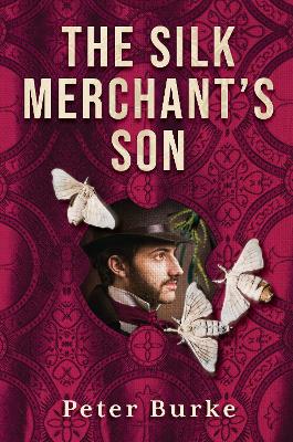 The Silk Merchant's Son book