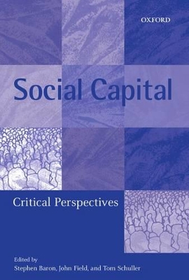 Social Capital book