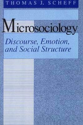 Microsociology book