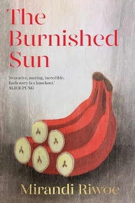 The Burnished Sun: The prize-winning story collection book