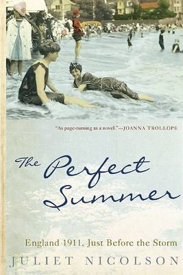 Perfect Summer book