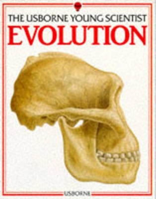 Evolution by Barbara Cork