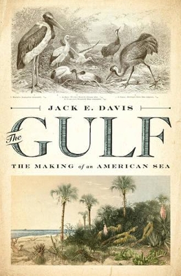 The The Gulf: The Making of an American Sea by Jack E. Davis