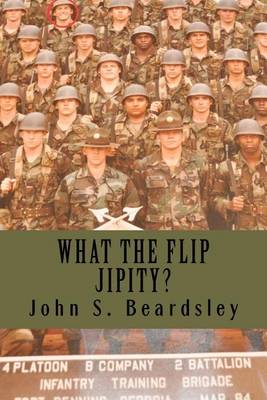 What the Flip Jipity? book