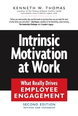 Intrinsic Motivation at Work book