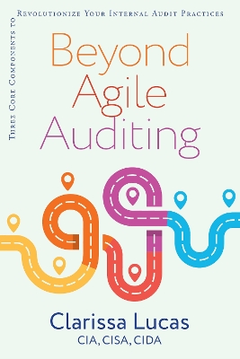 Beyond Agile Auditing: Three Core Components to Revolutionize Your Internal Audit Practices book