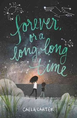 Forever, or a Long, Long Time book