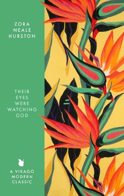 Their Eyes Were Watching God book